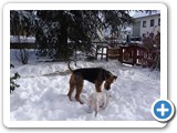 glenn-geronimo-vom-trattberg-winterbilder-004