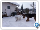 glenn-geronimo-vom-trattberg-winterbilder-006